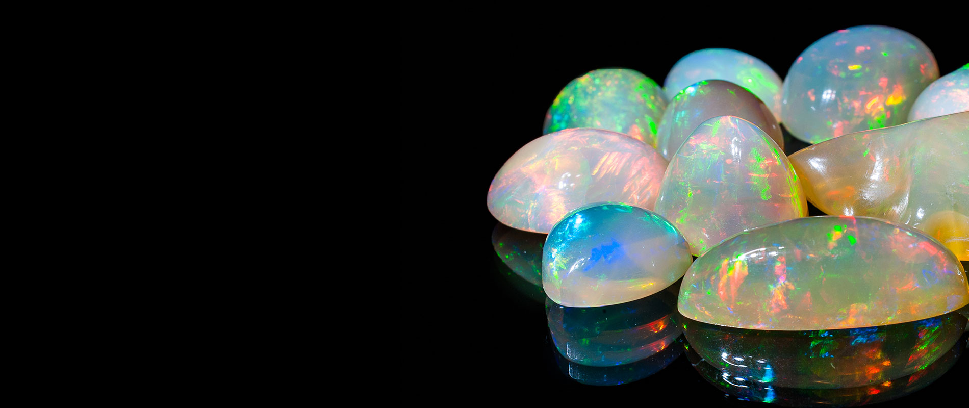 OPAL Press Release