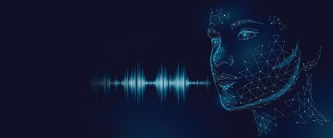 Virtual Assistant Datasheet